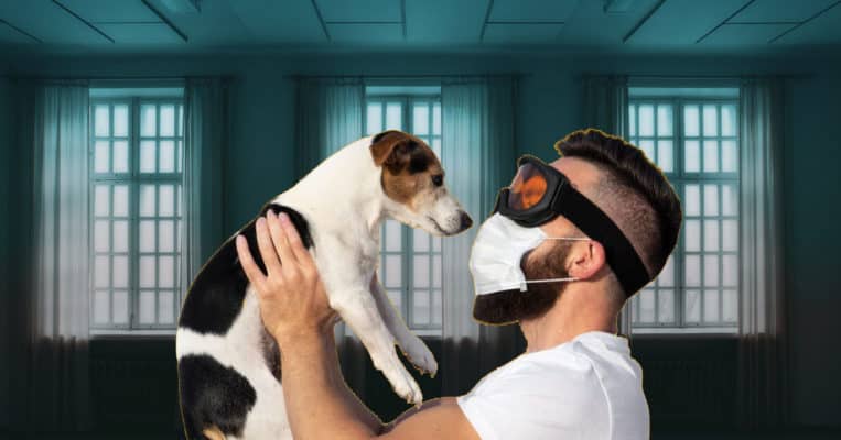 allergicToDog