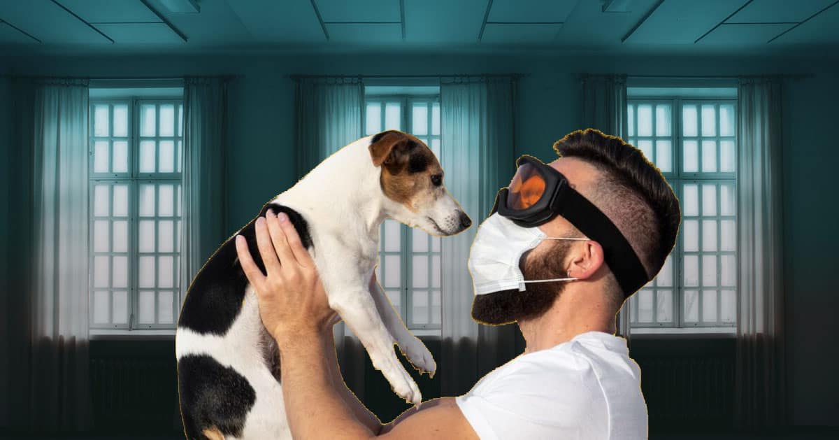 Breathtaking Dog? How To Make Your Dog Smell Good