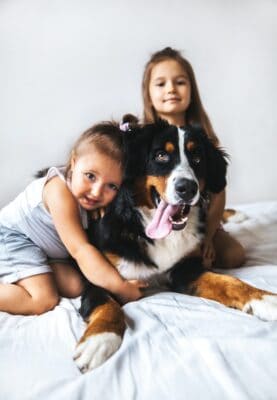Girls on the bed with Bernese Mountain Dog