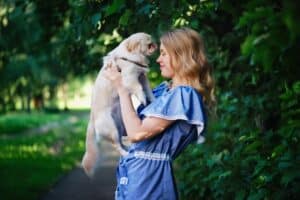 Get a Pekingese and have a good friend