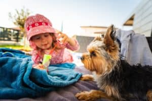 Portrait of a beautiful little 2 years old girl in red hat with yorkshire terrier dog on sofa in