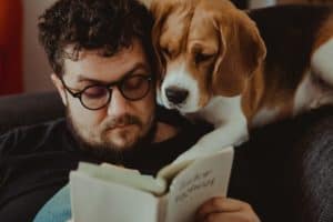 Reading time with my beagle dog