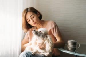 Single young brunette woman with poodle dog on hands sitting by window at