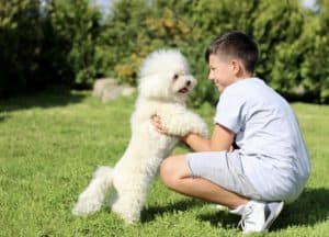 The boy with the dog playing in the garden.