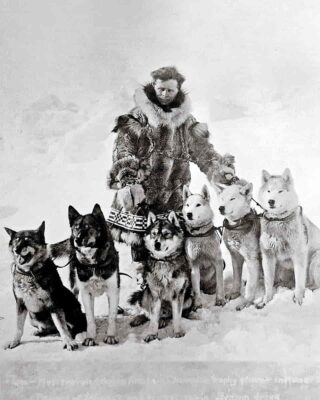 Siberian Husky: A Powerful Sled Dog 26 Leonhard Seppala and some of his dogs. Togo is the dog on the far left.