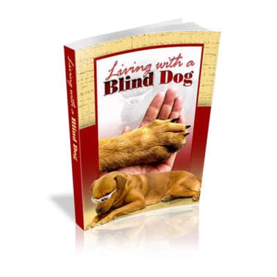 Top Dog Forum