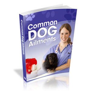 Top Dog Forum