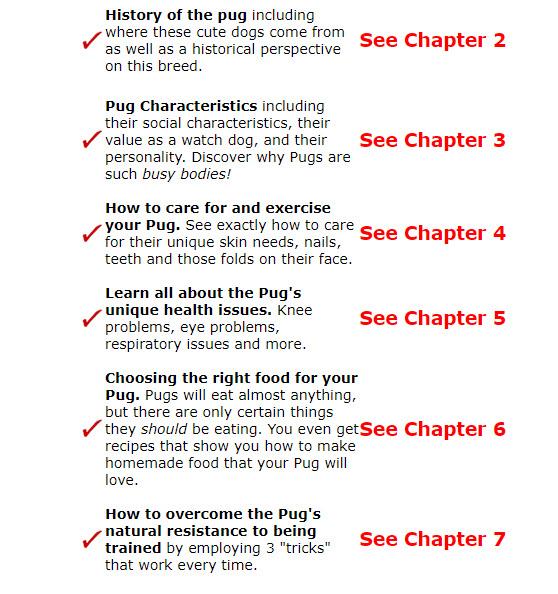 Here's What You Will Learn