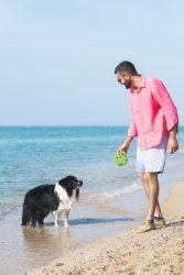 Border Collie Dog playing with young boy on the beach