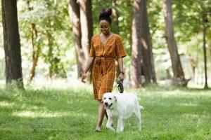 Exercise Dog to Avoid Dog Separation Anxiety