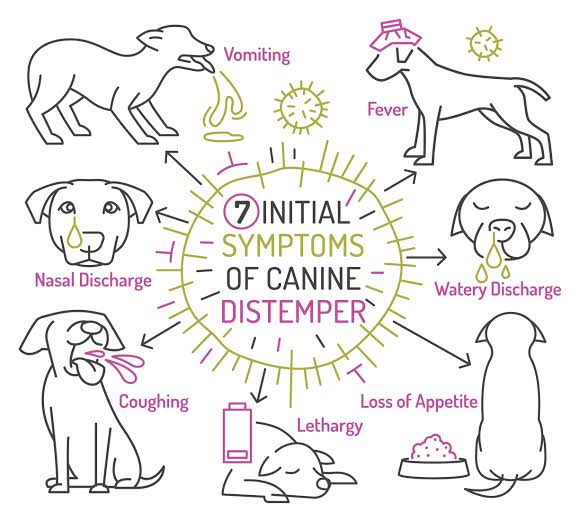 Distemper 2 distemper