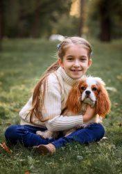 cavalier king charles spaniel