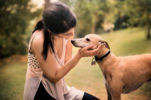 Girl with Italian greyhound in her arms in the park.