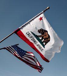Bull Baiting Is A Brutal Blood Sport 5 california state flag