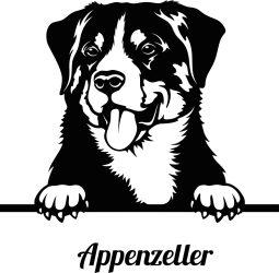 Appenzeller Sennehund  