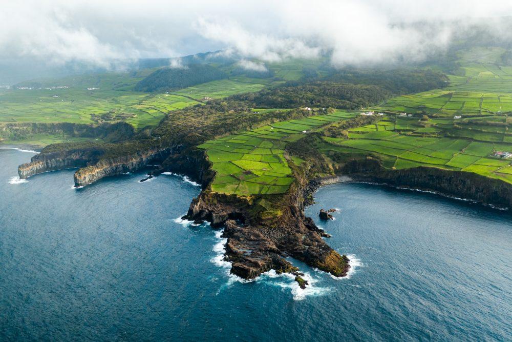 Barbado da Terceira is from the Azores.