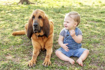 Baby boy with his bloodhound