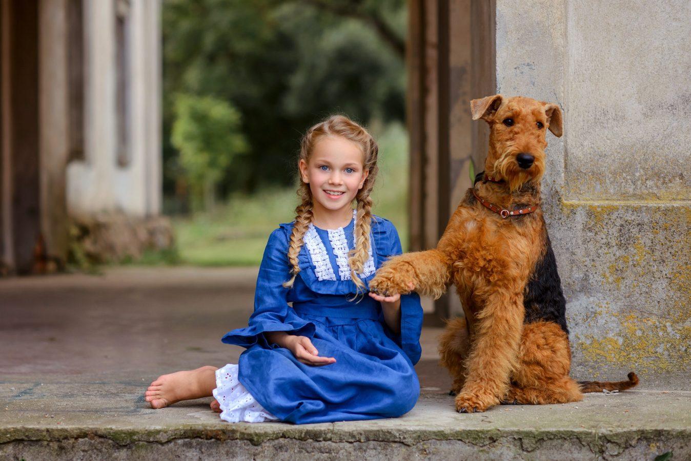 beautiful little girl in a dress in nature in summer with an Airedale Terrier dog
