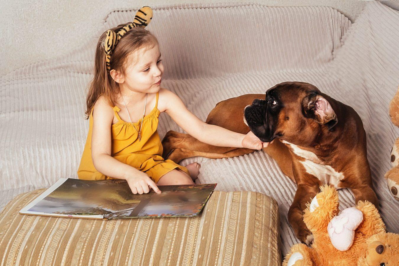 Boxer: The Delightful Companion Dog 5 friendship and love between children and pet dogs