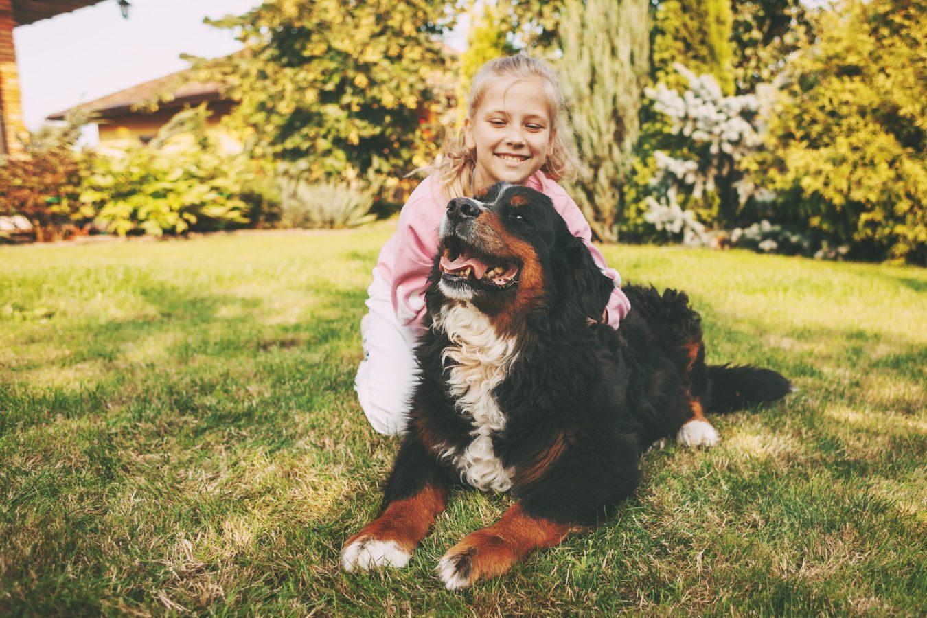 Happy teenage girl hugging with dog Bernese mountain dog on the lawn near the house.