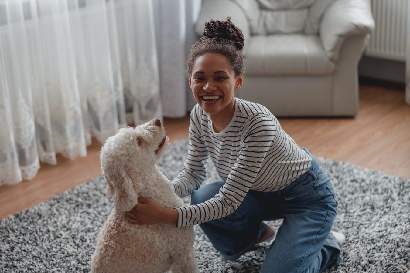 Poodles: The Smartest Dogs? 20 Top view of cheerful smiling young woman palying with poodle dog indoors at home