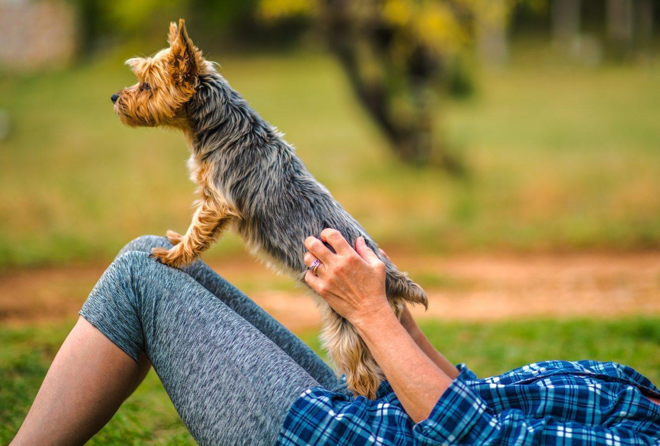 Woman Playing with Her Pet