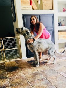Irish Wolfhound: Gentle Giant 2 Playing with an Irish Wolfhound puppy, they grow to be very large dogs.